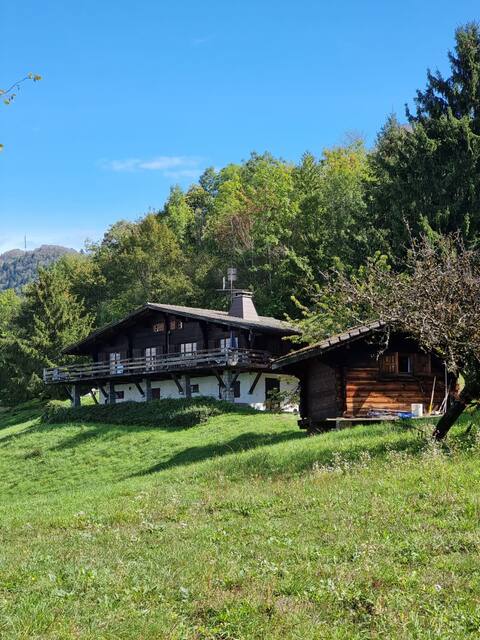 Vast chalet overlooking Lake Geneva