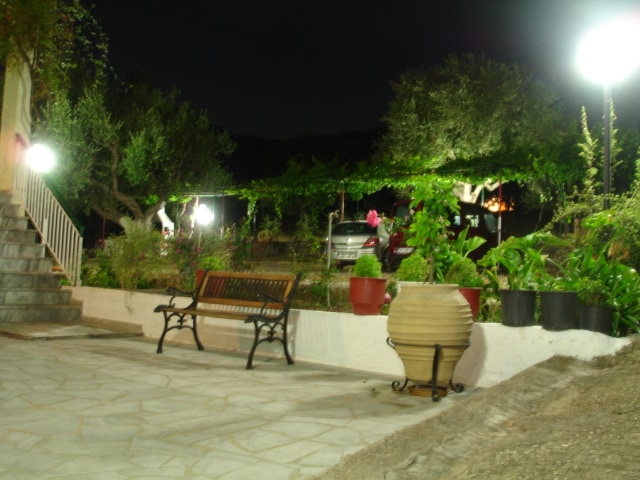 A peaceful outdoor space is illuminated by soft lighting at night, revealing a stone pathway and a wooden bench. Lush greenery, including potted plants and olive trees, creates a tranquil atmosphere, while a vehicle is visible in the background among the vegetation.