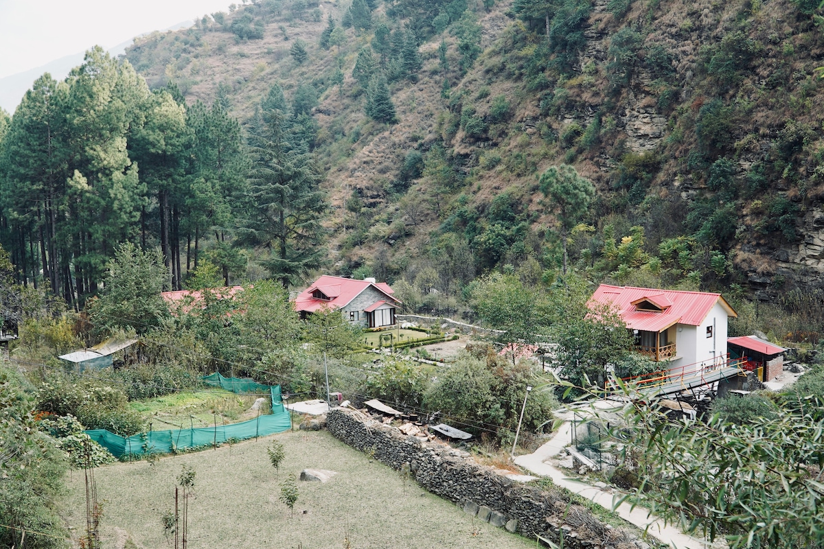 大人気！まとめ一覧 Riverside Chronicles - Cottages for Rent in Mohal, Himachal 邦楽