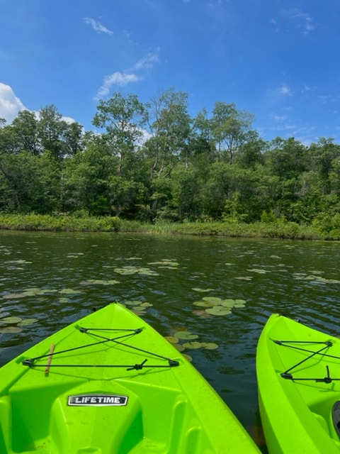 Two bright green kayaks are positioned near the water's edge, surrounded by lush greenery and water lilies. The sunlight illuminates the scene, reflecting off the calm surface of the lake, creating a serene outdoor setting.