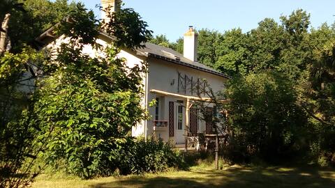 House in the middle of the forest