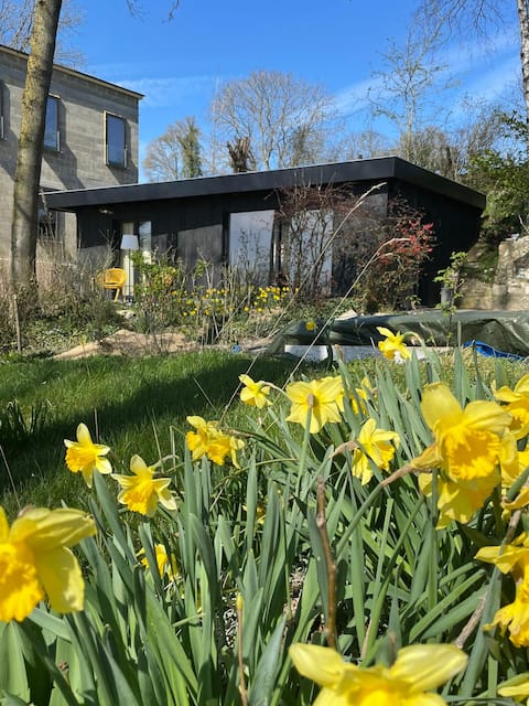 studio on the hillsides