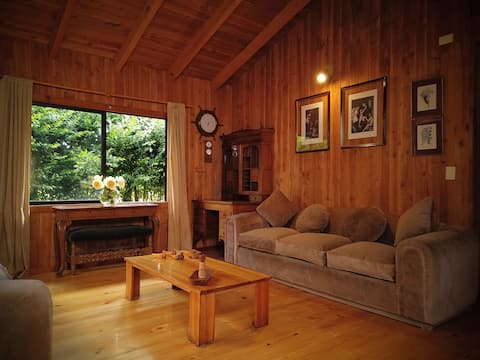 Successful Airbnb property: Beautiful southern family cabin in Panguipulli