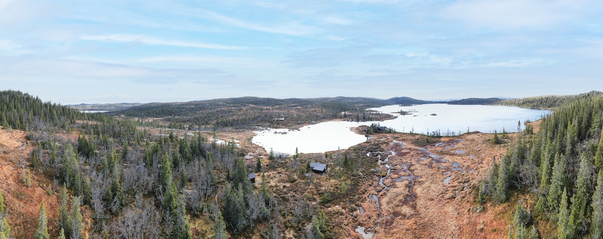 A panoramic view reveals a serene landscape of lush greenery and open water. The calm surface reflects the sky, while patches of marshland add texture to the scene. The distant presence of a cabin complements the natural surroundings, offering a sense of peaceful isolation.