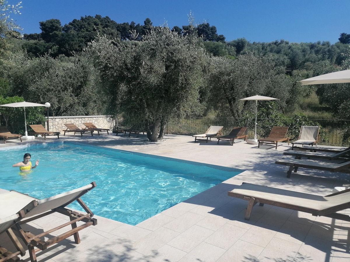 An outdoor swimming pool, surrounded by olive trees, is highlighted under clear blue skies. Sun loungers with umbrellas provide shaded seating areas. Light beige tiles surround the pool, reflecting the sunny atmosphere of the tranquil setting.