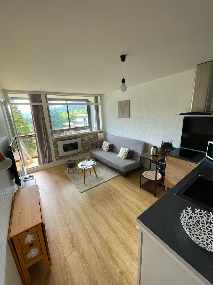 Joli Appartement à La Bresse. - La Bresse