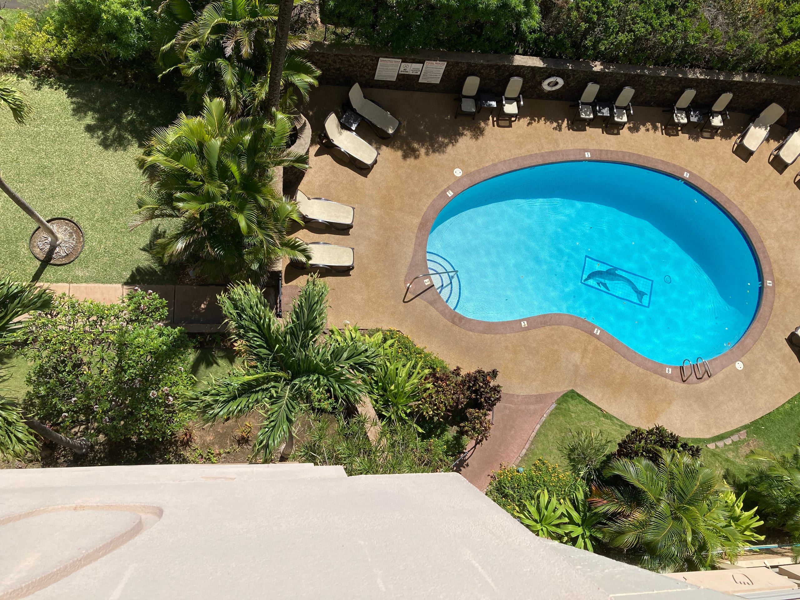 Condo in Kihei · ★4.84 · 1 bedroom · 2 beds · 1 bath - Image 15