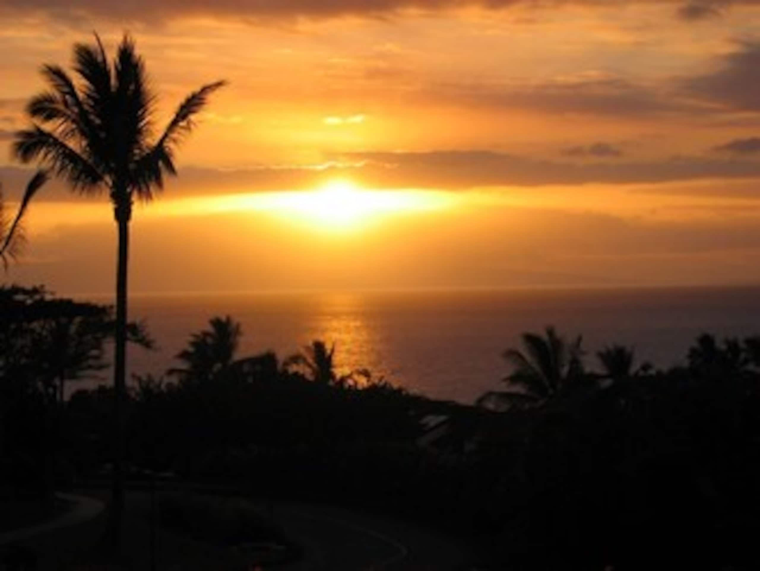 Condo in Kihei · ★4.94 · 1 bedroom · 2 beds · 2 private baths - Image 25