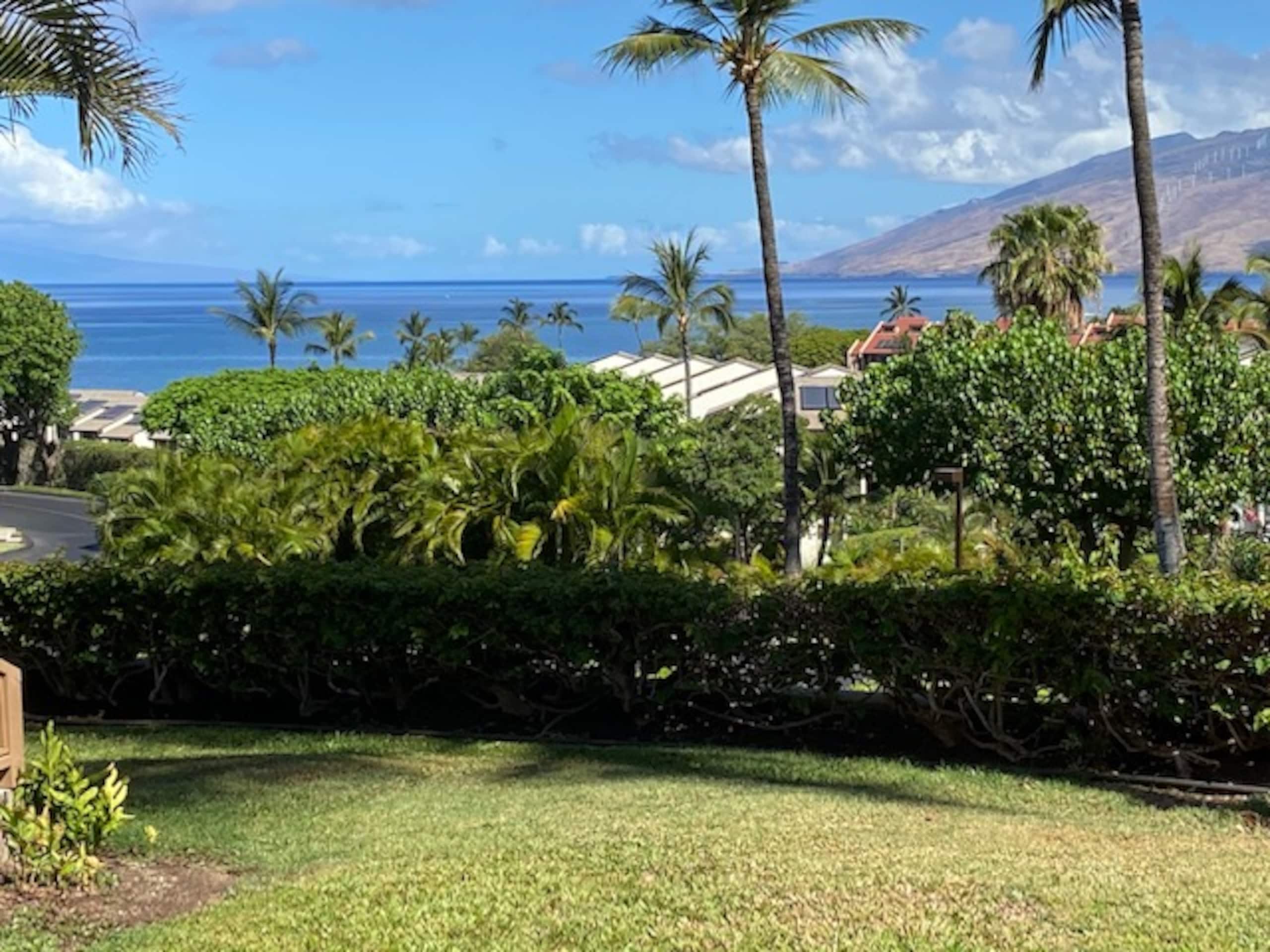 Condo in Kihei · ★4.94 · 1 bedroom · 2 beds · 2 private baths - Image 19