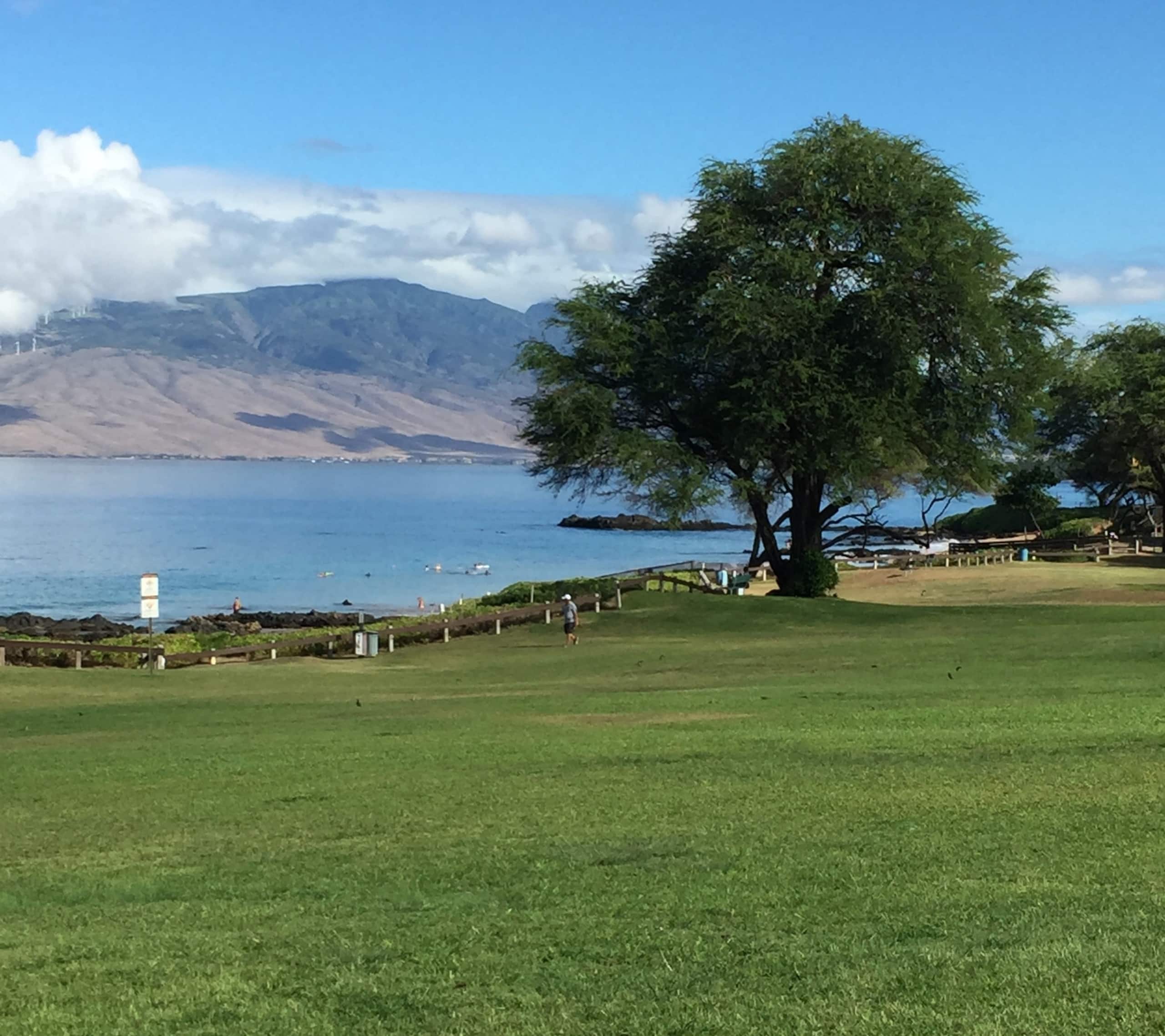Condo in Kihei · ★4.94 · 1 bedroom · 2 beds · 2 private baths - Image 37