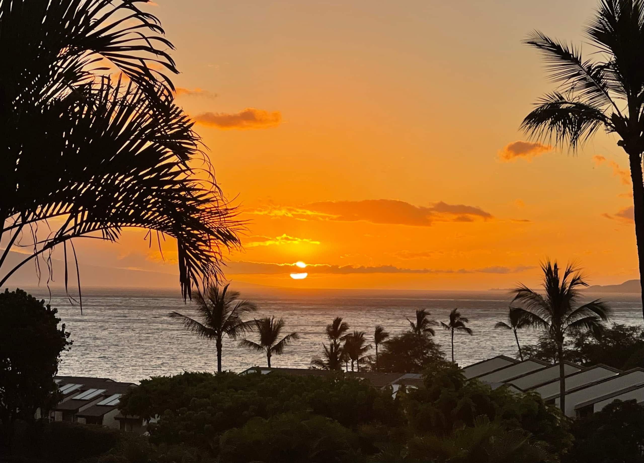 Condo in Kihei · ★4.94 · 1 bedroom · 2 beds · 2 private baths - Image 26