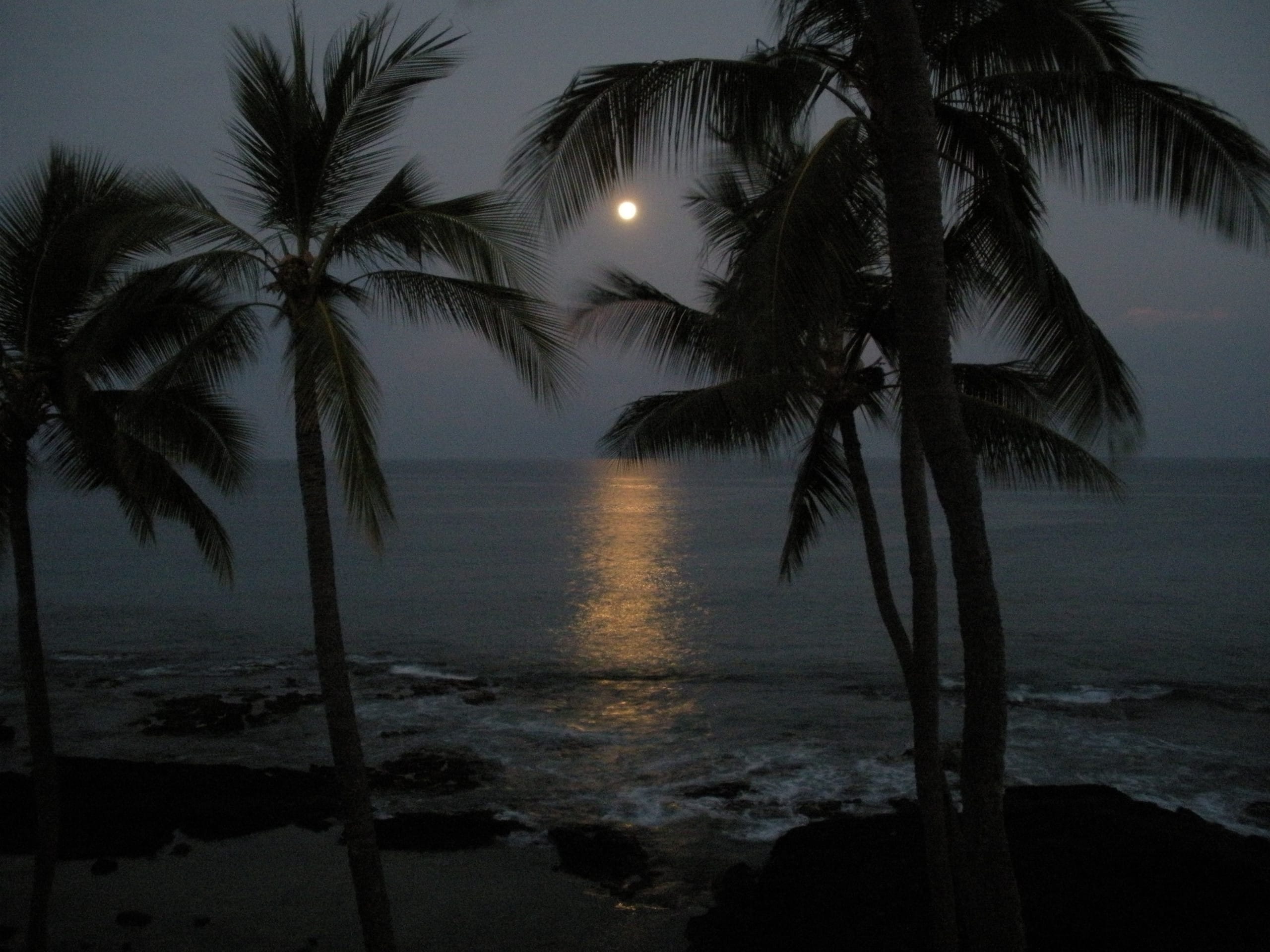 Beautiful Oceanfront 2 Bdrm/2 Bath with A/C #222 - Image 33