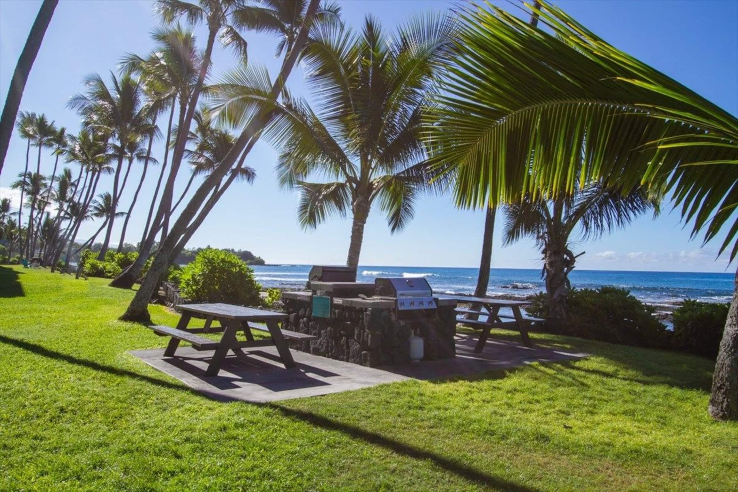 Beautiful Oceanfront 2 Bdrm/2 Bath with A/C #222 - Image 43