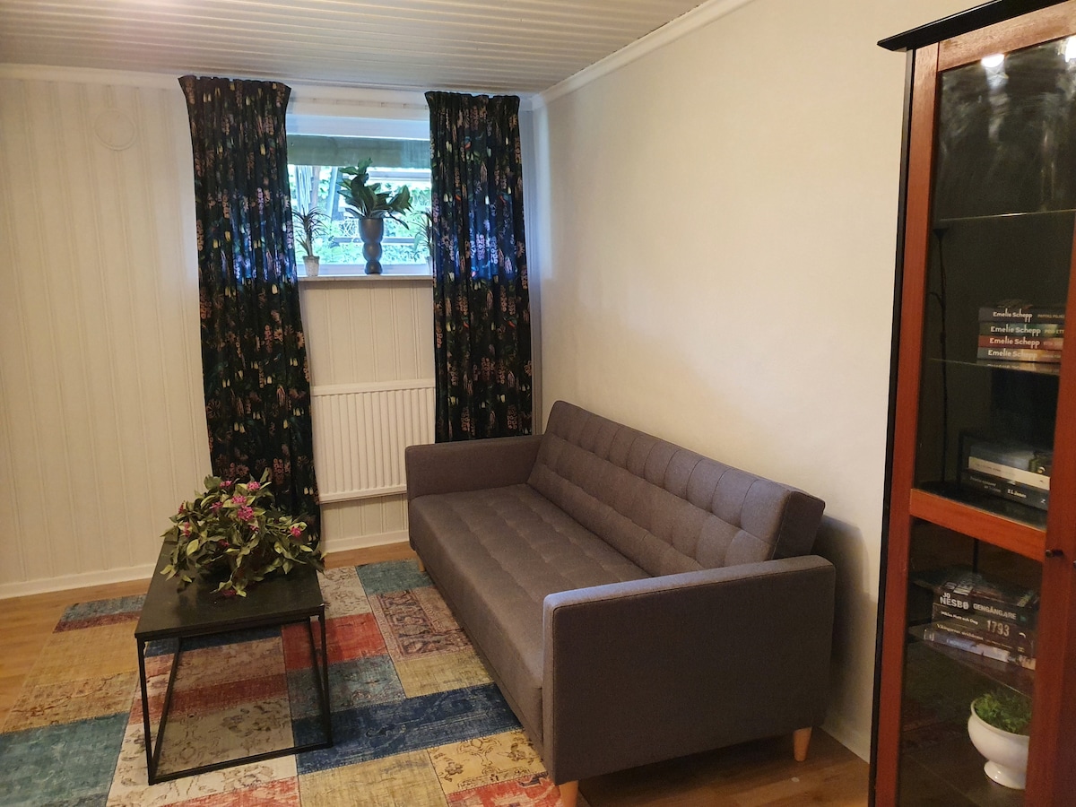 A modern sofa is positioned next to a low coffee table on a patterned rug, creating a cozy seating area. The space is illuminated by natural light filtering through a window, framed by dark floral curtains.