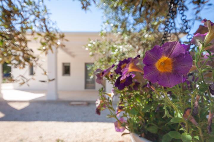 Lamia Bella gallery image 5