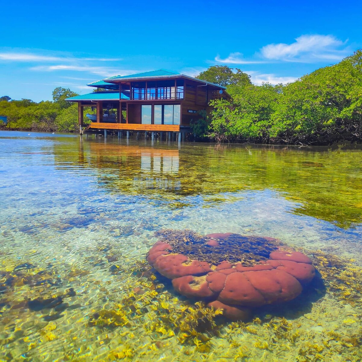 The eco-bungalow sits on stilts above crystal-clear waters, surrounded by lush greenery. Below the surface, a large coral formation is visible, adding to the vibrant underwater landscape. A clear blue sky and gentle clouds create a serene backdrop.
