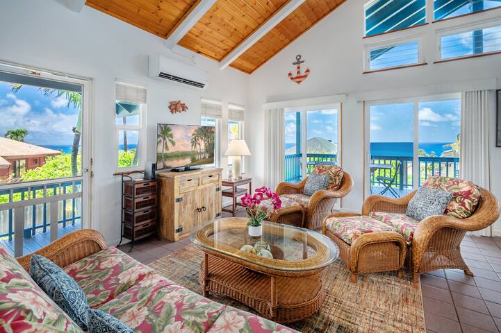 Oceanview! Walk to Beaches & Trails, 2Living Rooms gallery image 2