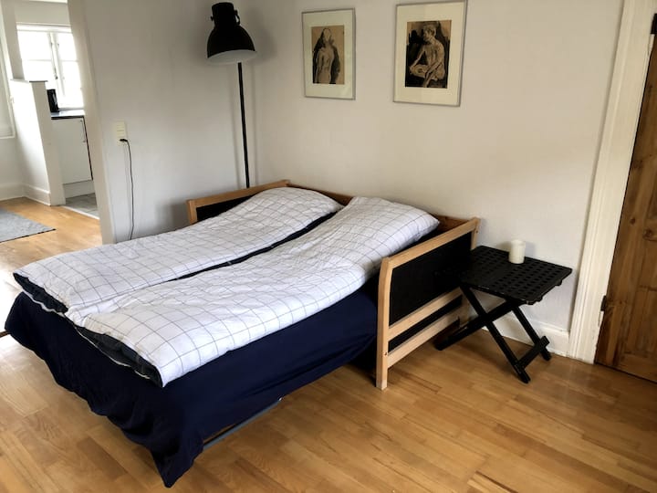 Sofá cama hecho para 2 personas en la sala de estar