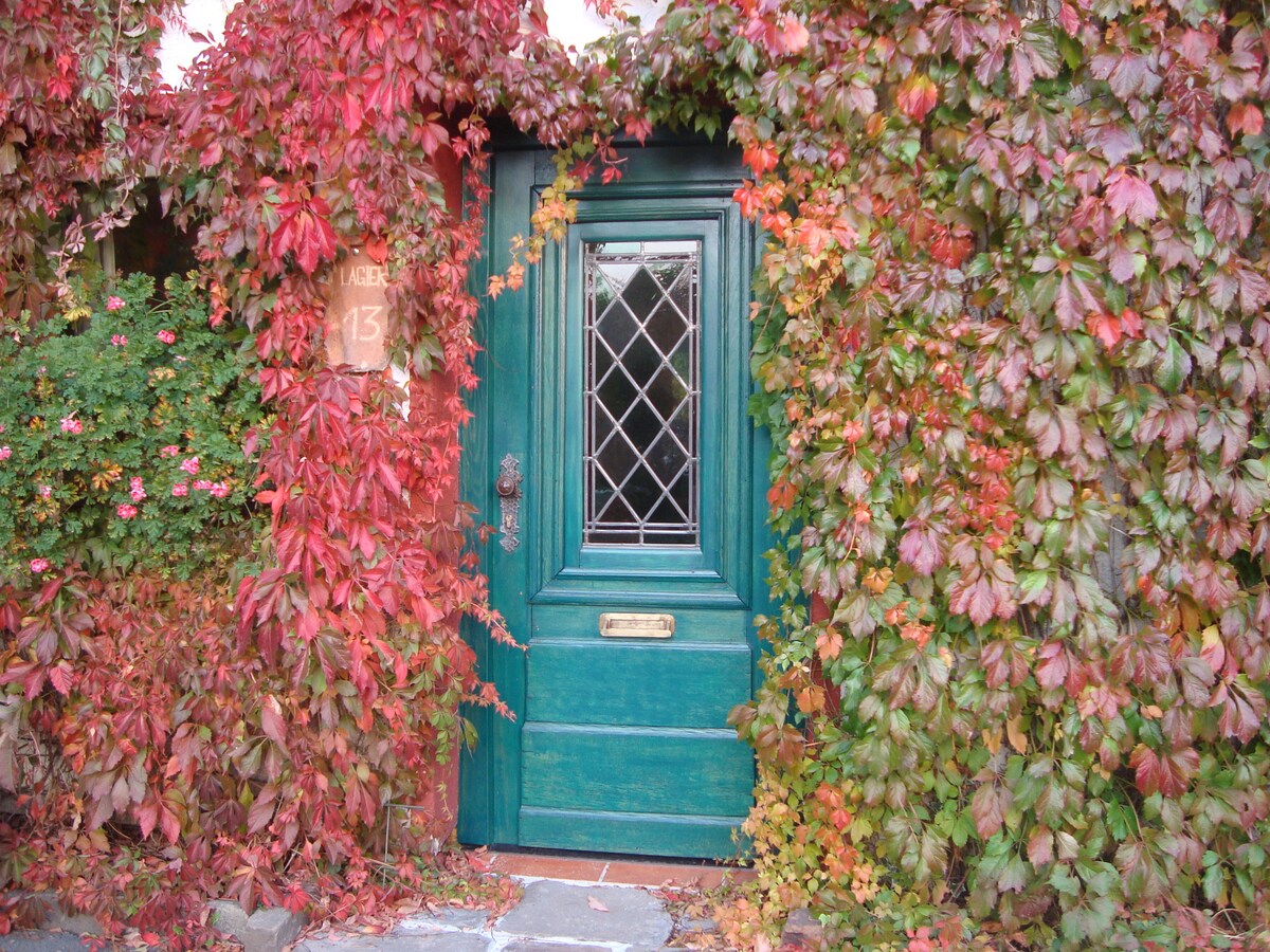 Propiedad de Airbnb exitosa: Forest house for peace seekers & nature lovers en Schleiden