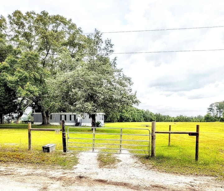 Comfy, Cozy Home On 5 Acres With Porch & Fire Pit Houses for Rent in