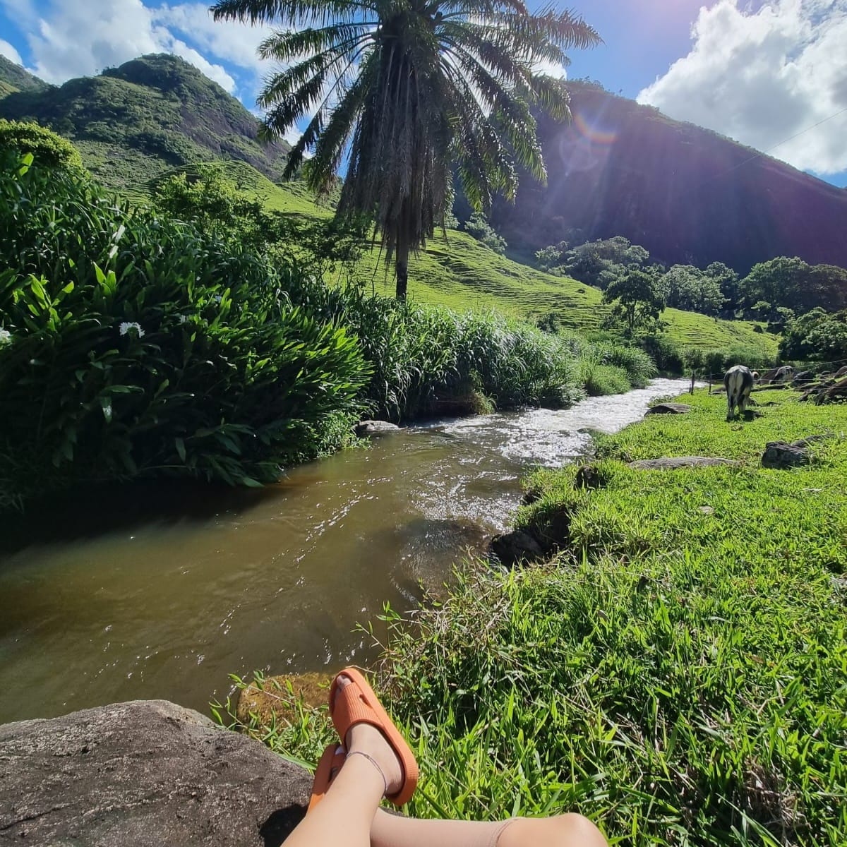 A serene riverside scene is displayed, featuring lush greenery and a flowing river. Tall trees are visible along the riverbank, with distant hills rising in the background under a partly cloudy sky. Natural light enhances the tranquility of the environment.