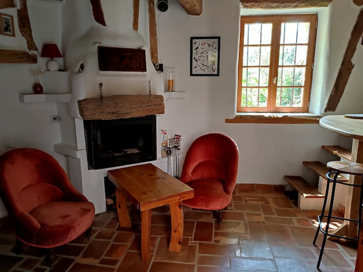 Petit Cocon Pyrénéen - Tarascon-sur-Ariège