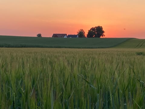 Farmhouse Wing in Skåne