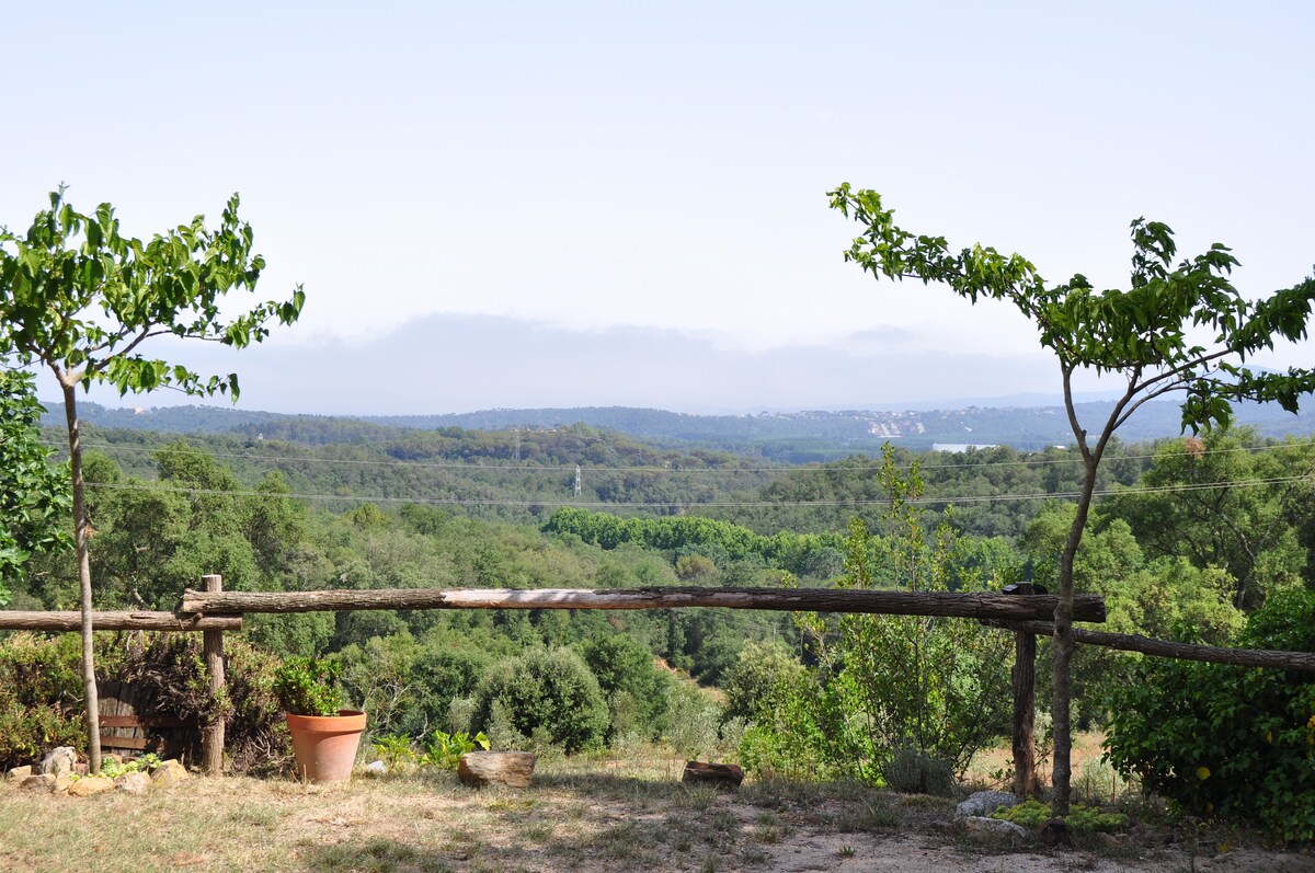 A wooden railing frames a panoramic view of lush greenery and rolling hills, creating a serene outdoor setting. Two trees are positioned on either side, while a terracotta pot rests on the ground, complementing the natural landscape.