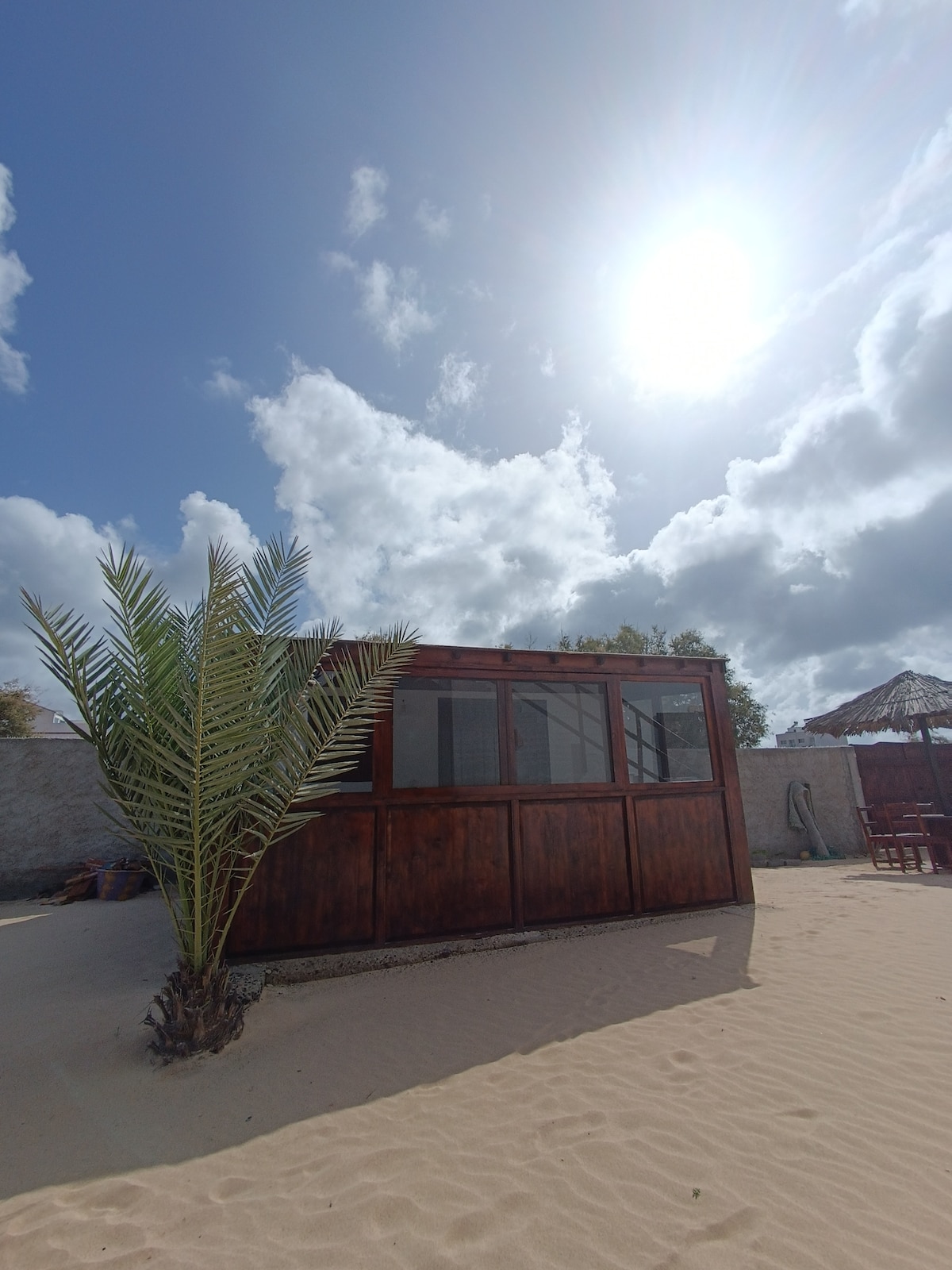 A wooden structure with large windows is set against a backdrop of fluffy clouds and sunlit sky. A palm plant is positioned in the sand near the base of the building, enhancing the beach setting.