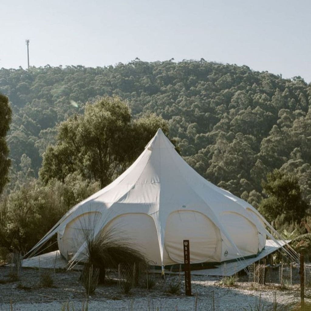 A spacious Lotus Belle tent is set against a backdrop of lush greenery and rolling hills. The tent features a distinctive conical shape with a white canvas exterior, blending harmoniously with the natural surroundings.