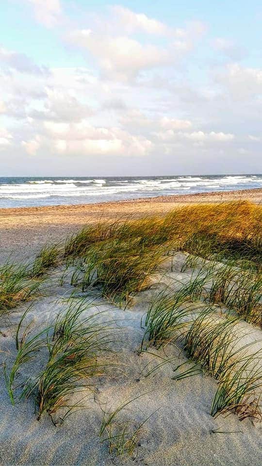 Soft sand is dotted with gentle grass blades swaying in the breeze, leading to a tranquil shoreline. The waves can be seen rolling onto the beach under a sky filled with light clouds, creating a serene coastal environment.