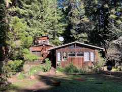 Craftsman+Cabin+in+Redwood+Retreat+Setting