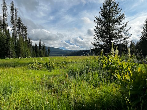 Secluded mountain guest cabin Aspen Springs Ranch