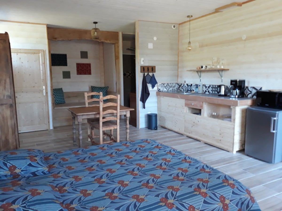 A spacious studio features a wooden dining table with chairs, a kitchenette with essential appliances including a refrigerator, microwave, and coffee maker. Colorful bedding adorns the bed, complementing the neutral tones of the walls and wooden cabinetry.