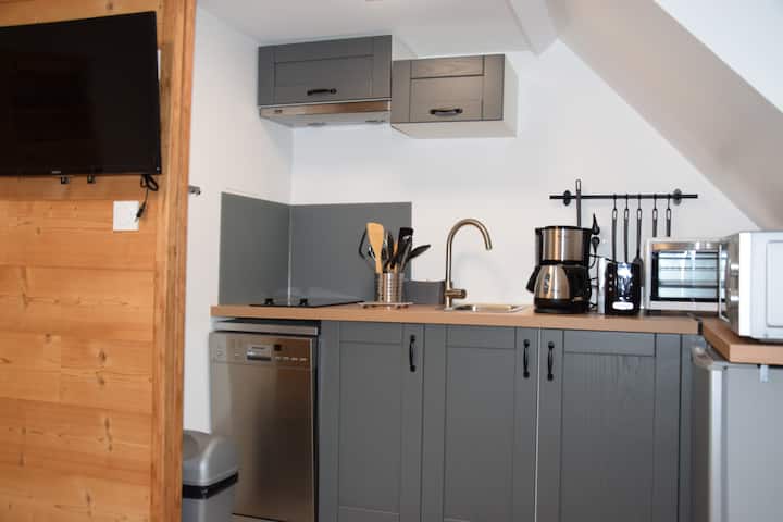 Studio 23 M² 2 Pers /2 Enfts /Sancy / Mont Dore - Mont-Dore