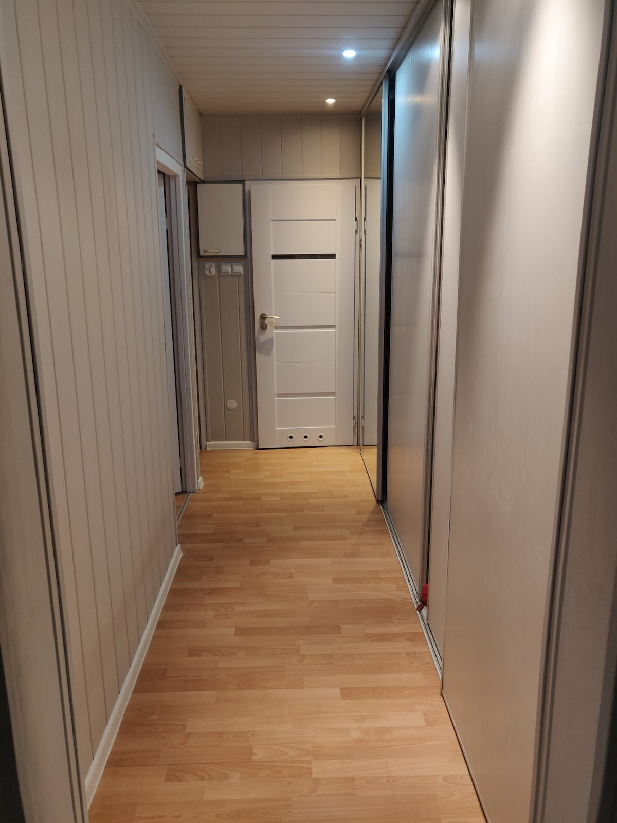 A narrow hallway is showcased with light wood flooring and white paneled walls. A bright light fixture illuminates the space. Closed doors are observed on both sides, with a modern white door at the far end featuring a minimalist design.