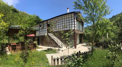 Yeşildere Villa 2