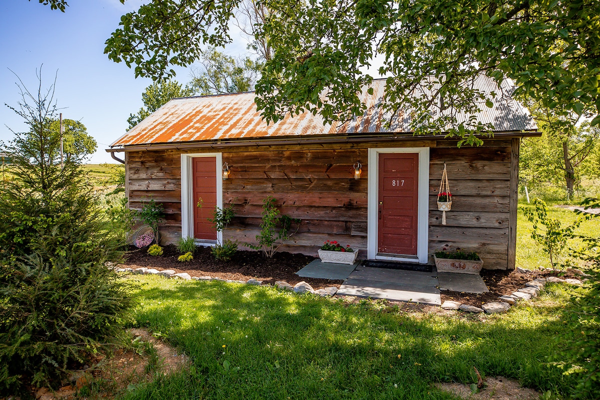 The exterior of a rustic cabin features weathered wooden siding and a metal roof. Two red doors are flanked by small planters, each containing green plants. A pathway made of stone leads to the entrance, surrounded by well-maintained grass and shrubs.