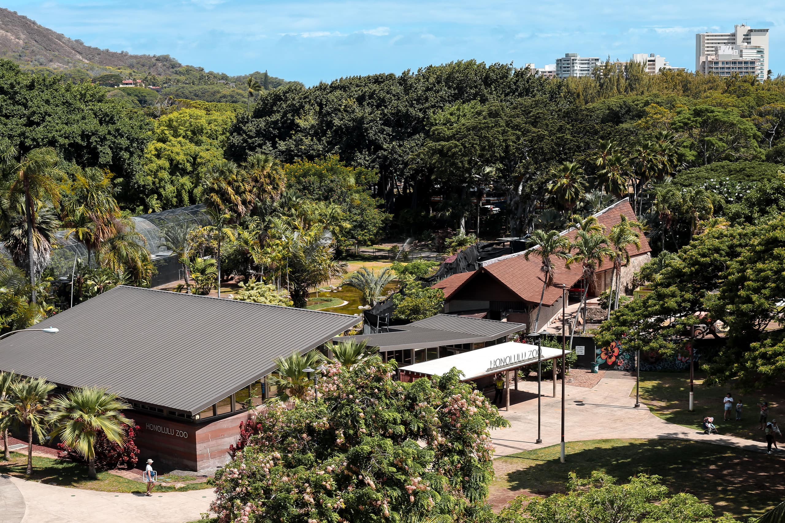 Condo in Honolulu · ★4.87 · 1 bedroom · 1 bed · 1 bath - Image 5