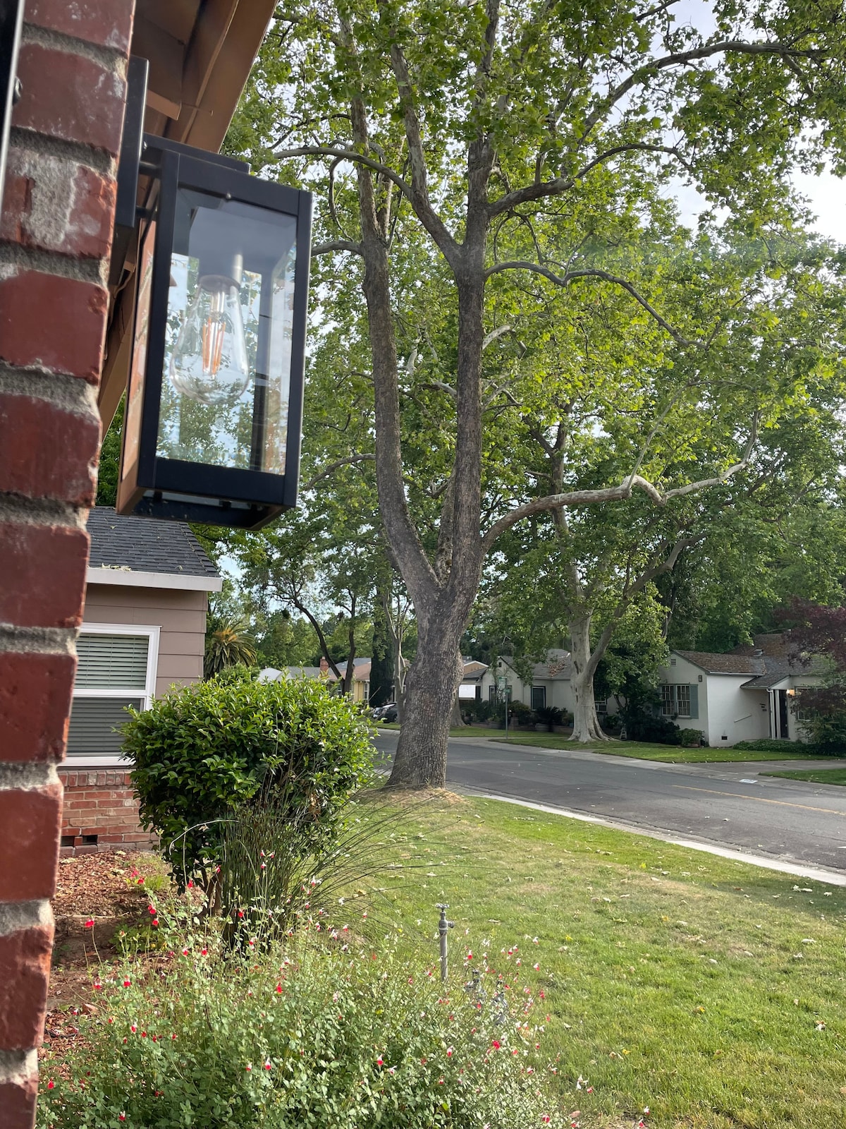 A lamp is mounted on the building, casting light over a grassy area filled with small flowers. Large trees provide shade in the background, while a quiet residential street is visible, lined with houses and greenery.