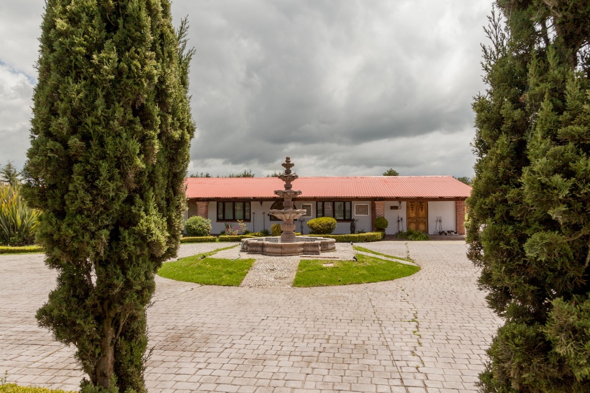 A tranquil courtyard is framed by two tall trees, with a central stone fountain surrounded by neatly trimmed grass. The single-story building, topped with a red roof, has multiple windows allowing natural light into the interior.