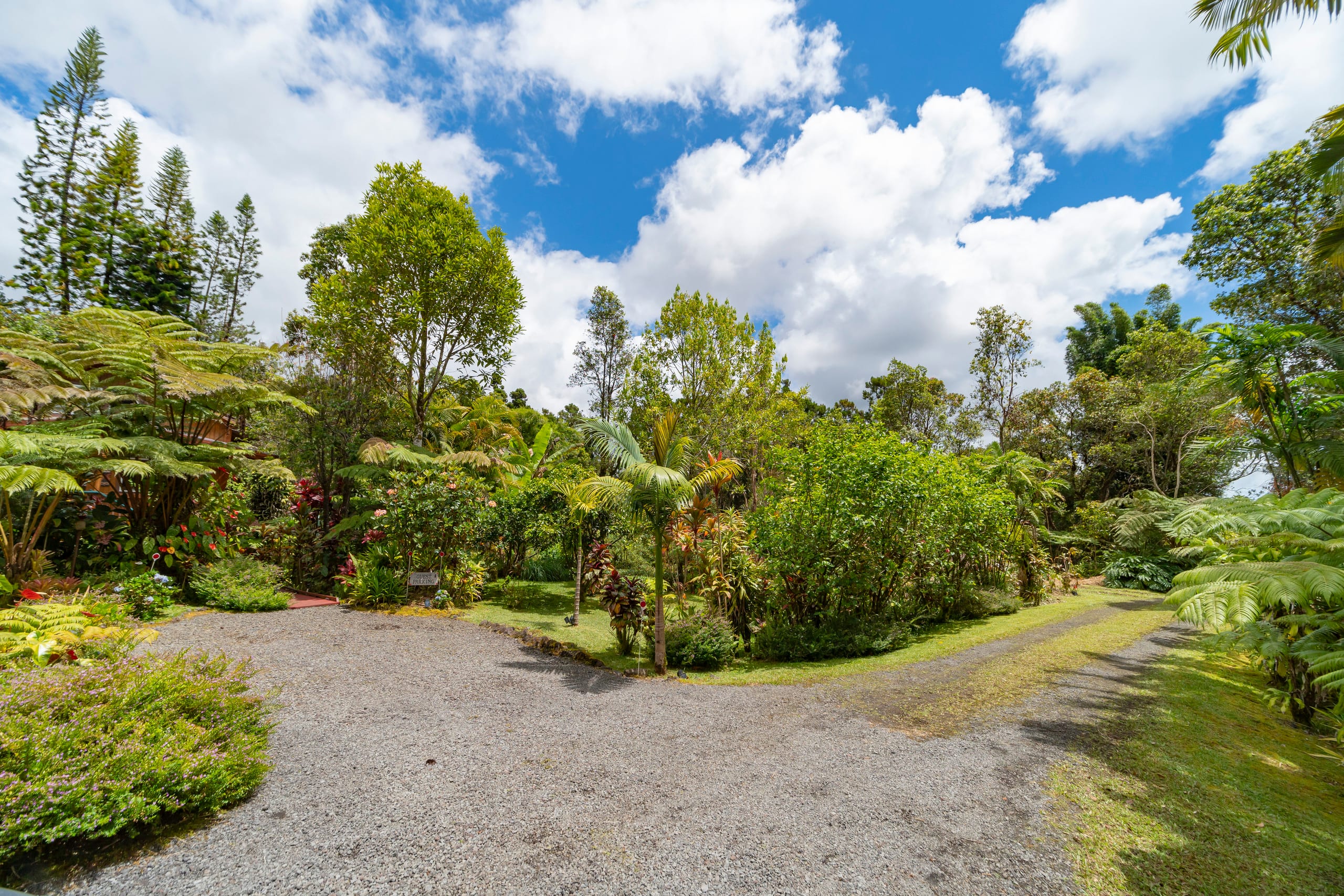 Cabin in Mountain View · ★4.95 · 2 bedrooms · 3 beds · 1 private bath - Image 15