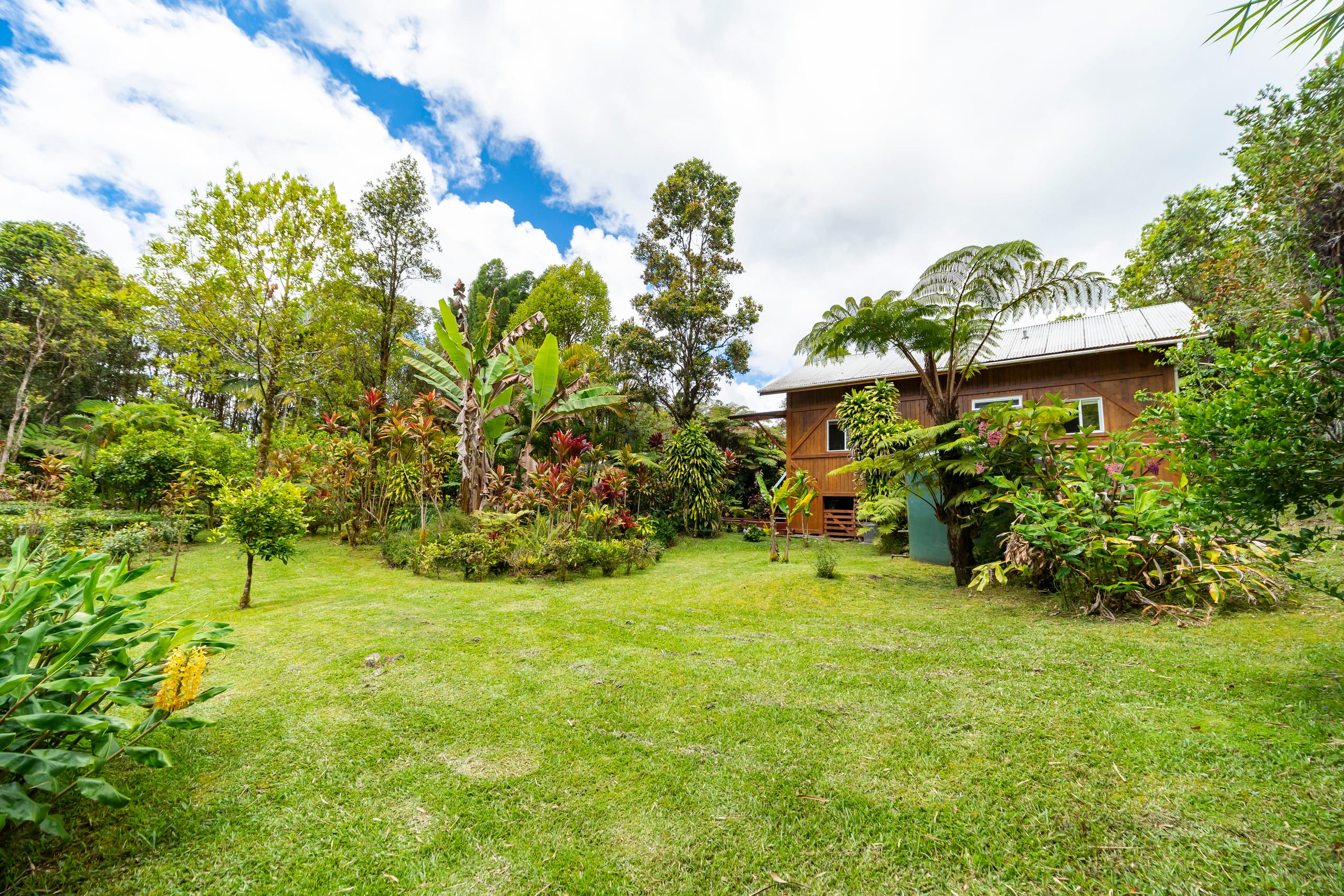 Cabin in Mountain View · ★4.95 · 2 bedrooms · 3 beds · 1 private bath - Image 9