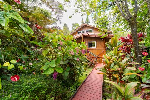 Hale 'Ola'a - Majestic Mountain Retreat - 3 Beds