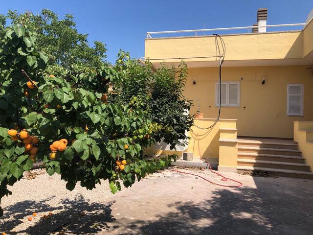 Casita gallery image 2