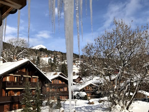 Top performing Airbnb: Beautiful large apartment with south-facing balcony in Ormont Dessus