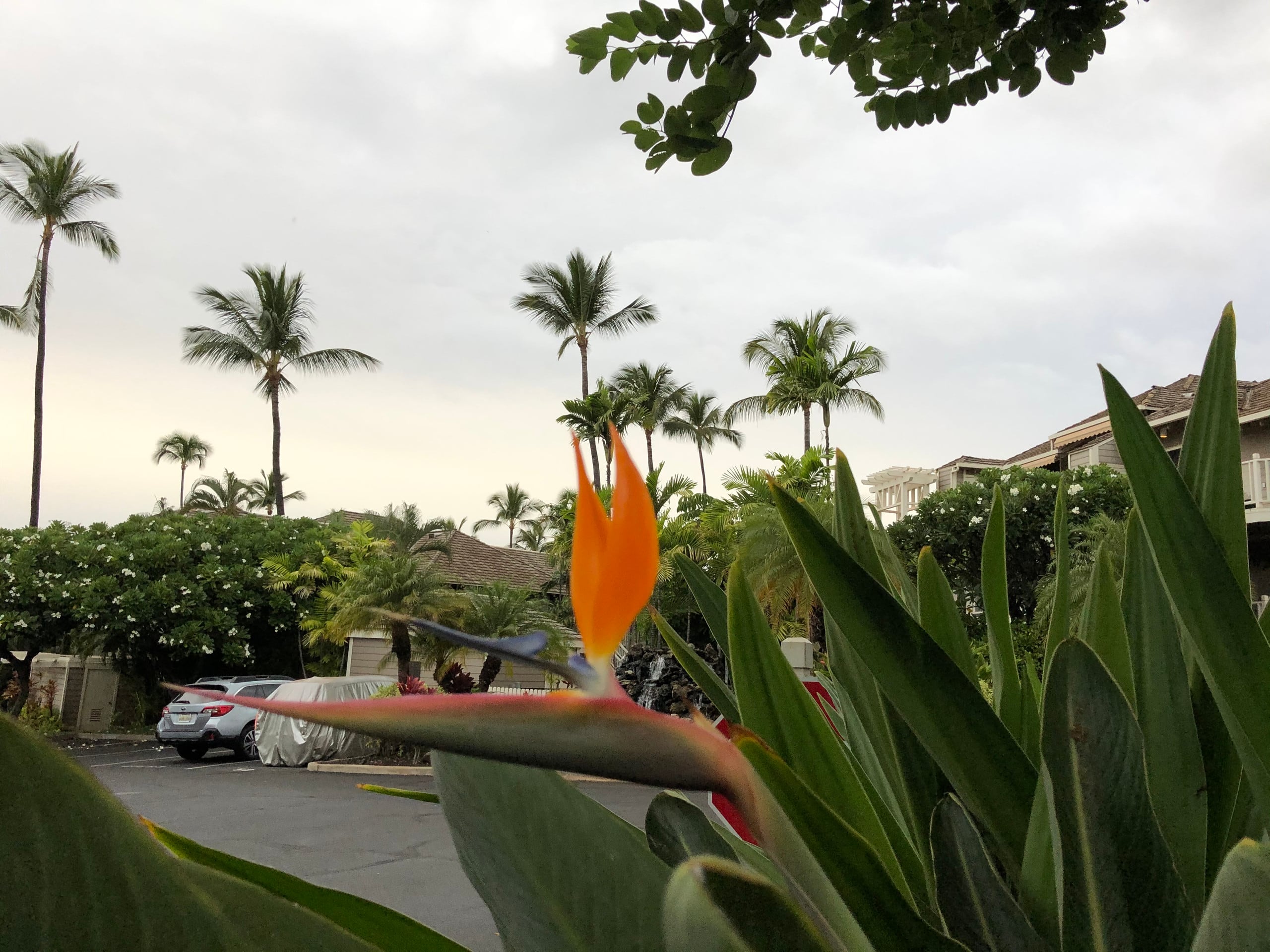 Villa in Wailea · ★4.96 · 2 bedrooms · 4 beds · 2 private baths - Image 135
