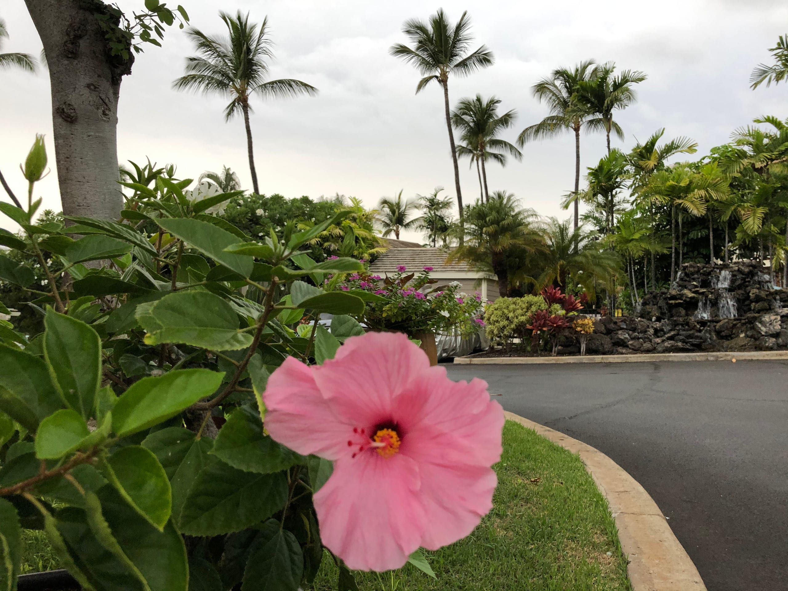 Villa in Wailea · ★4.96 · 2 bedrooms · 4 beds · 2 private baths - Image 133