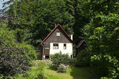 Cabin on the edge of the forest