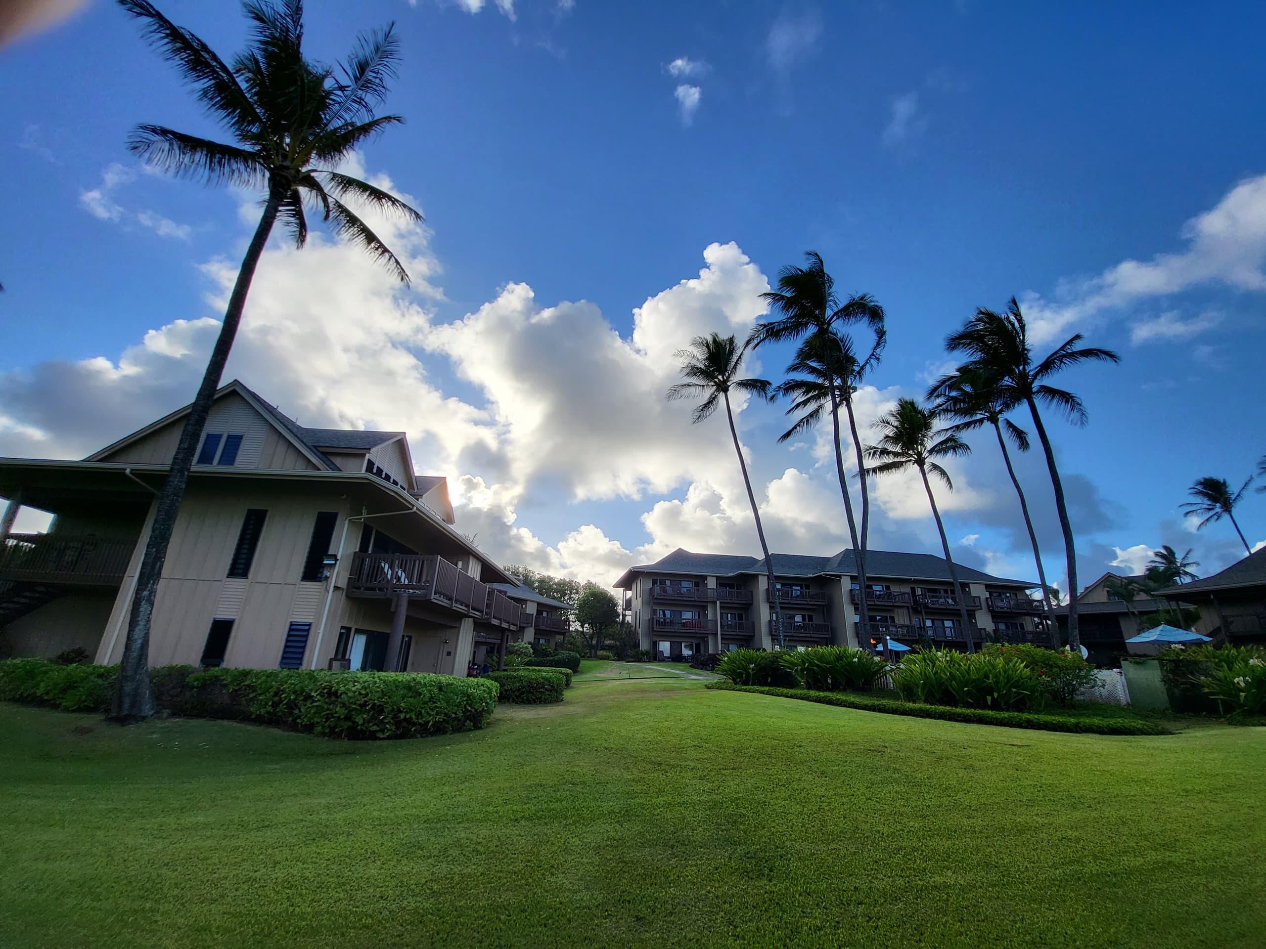 Heavenly Oceanfront 1 Bedroom Condo Pool & Beach - Photo 31